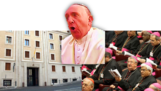 De woede-uitbarsting van Bergoglio tijdens de Synode: ‘Hij stond te&nbsp;tieren’