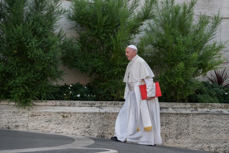 Exhortatie over Amazonesynode komt er binnen de maand en zal zelfde titel dragen als het ketterse&nbsp;werkdocument