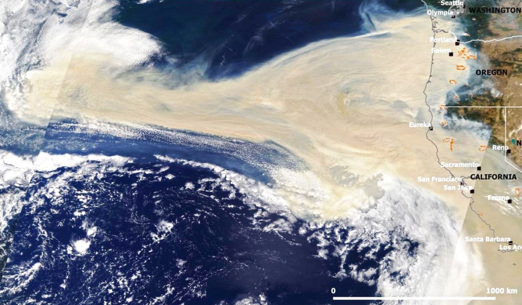 Bosbranden in de VS: de gigantische rookwolk lijkt verdacht veel op een&nbsp;uterus…
